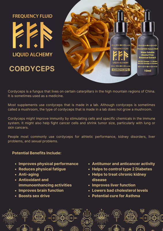 Frequency Fluid Liquid Alchemy Cordyceps Nootropic Botanical Extract 10ml