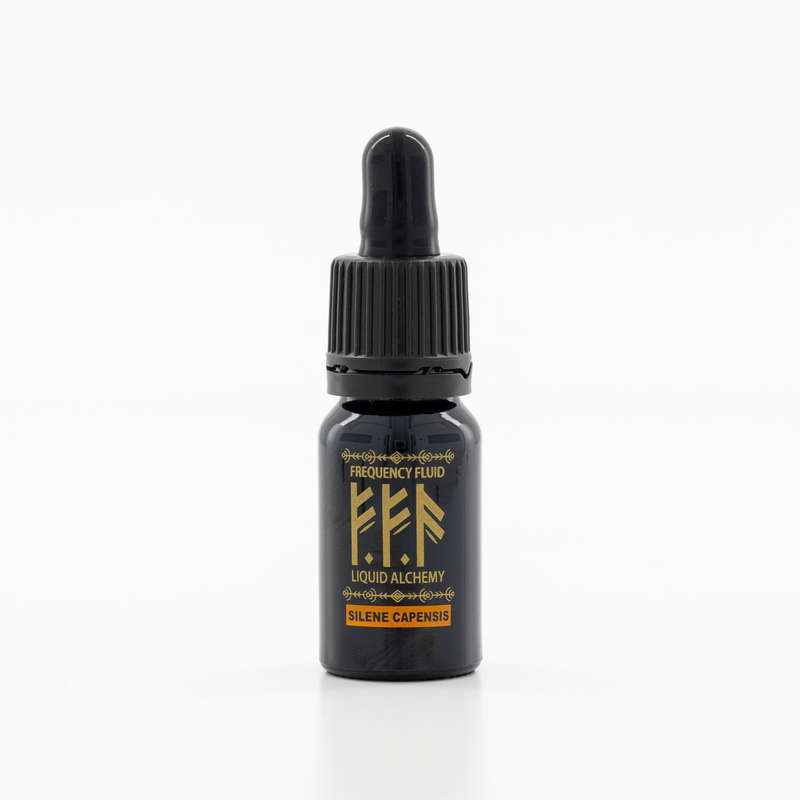 Frequency Fluid Liquid Alchemy Silene Capensis (African Dream Root) Oneirogenic Botanical Extract...