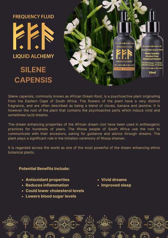Frequency Fluid Liquid Alchemy Silene Capensis (African Dream Root) Oneirogenic Botanical Extract...