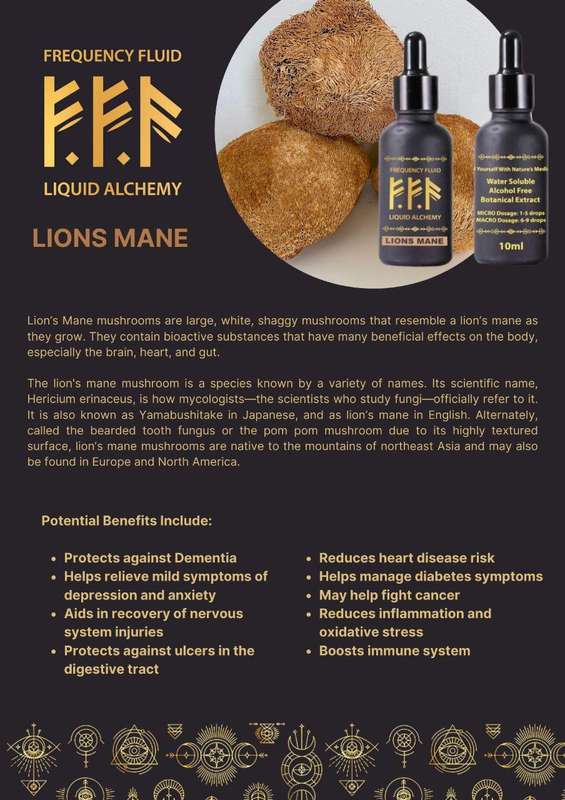 Frequency Fluid Liquid Alchemy Lion's Mane Nootropic Botanical Extract 10ml