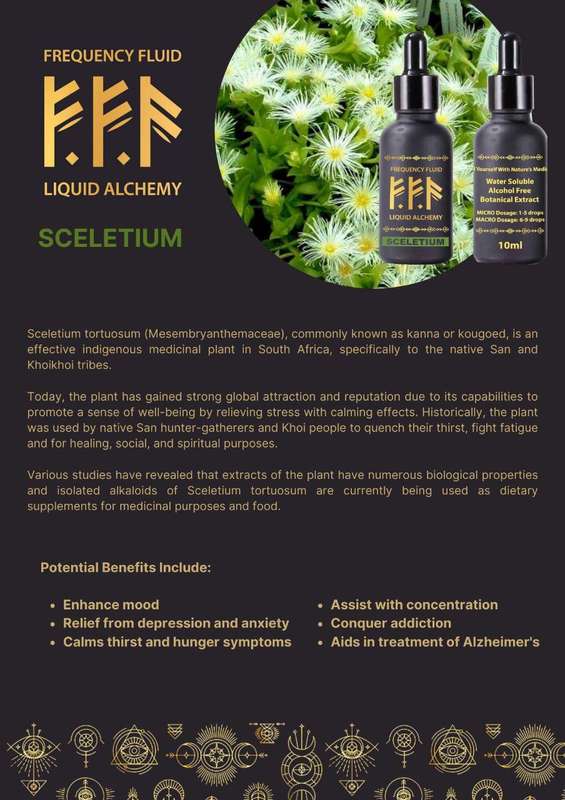Frequency Fluid Liquid Alchemy Sceletium Nootropic Botanical Extract 10ml