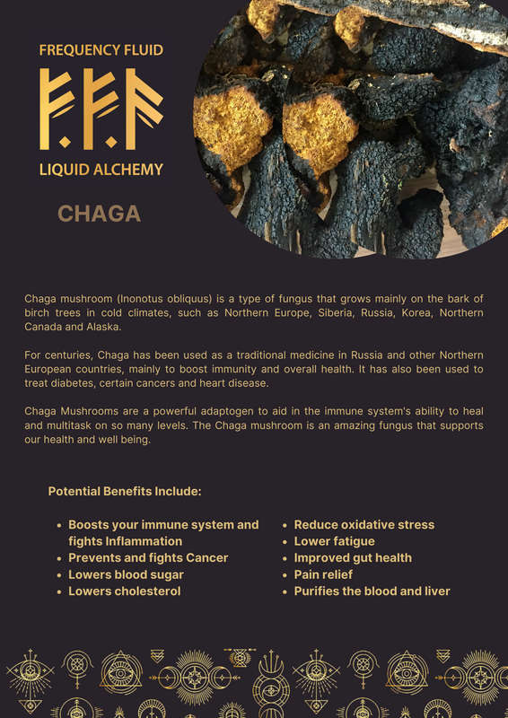 Frequency Fluid Liquid Alchemy Chaga Adaptogenic Botanical Extract 10ml