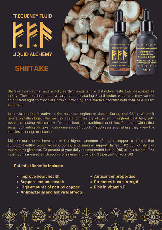 Frequency Fluid Liquid Alchemy Shiitake Adaptogenic Botanical Extract 10ml