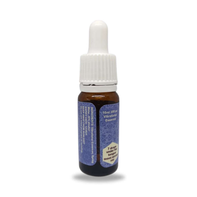 Immortality Forever Potentised Homeopathic Remedy 10ml