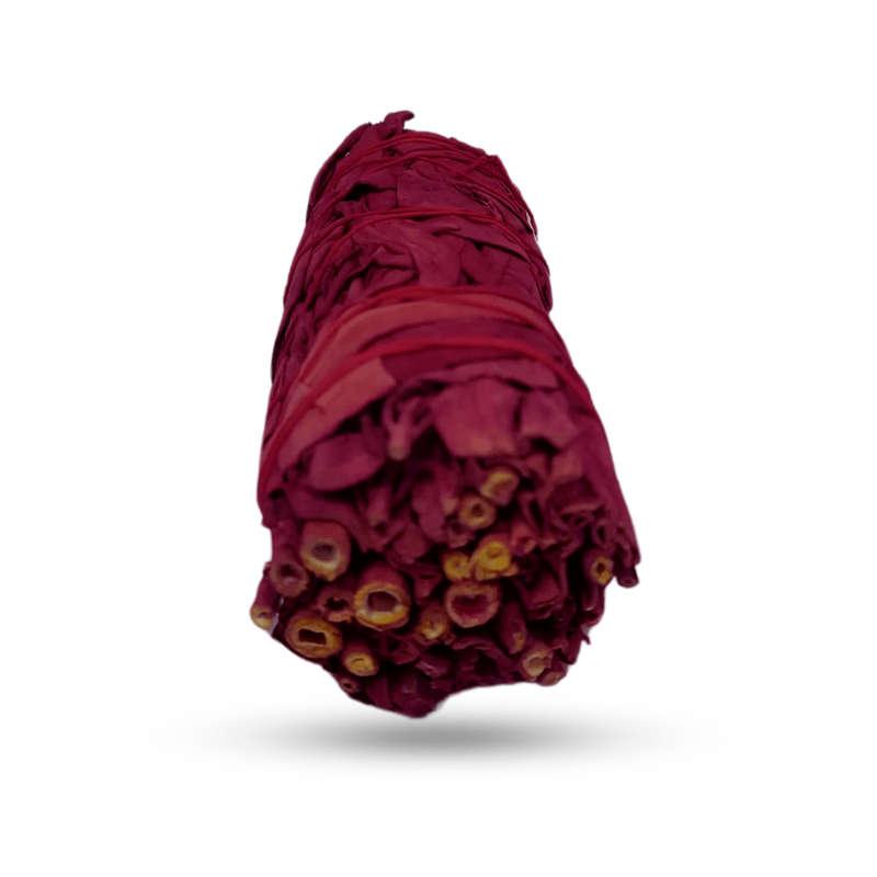 Californian White Sage and Dragons Blood Smudge Stick (1)