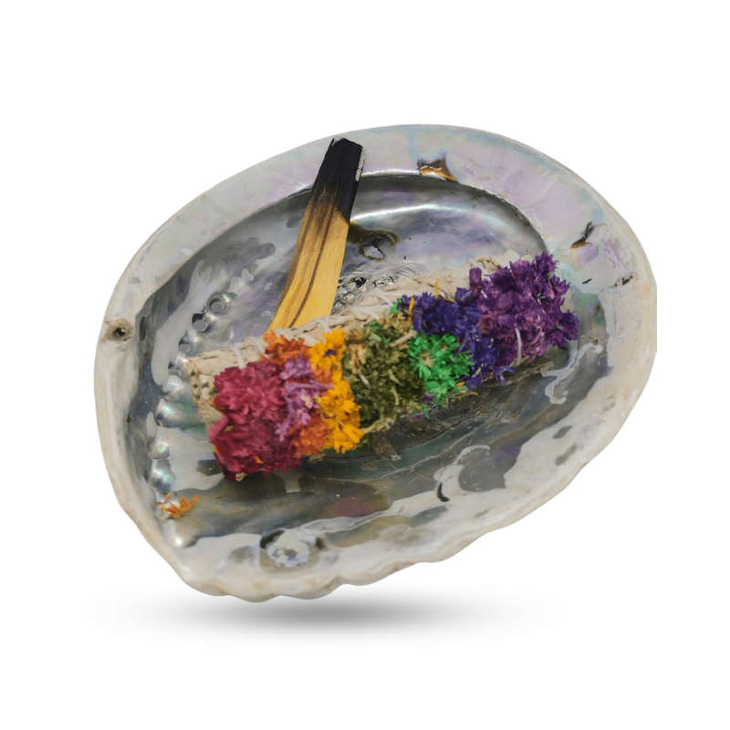 Smudge Set - Seashell Bowl &amp; Smudge Sticks (White Sage &amp; Palo Santo)
