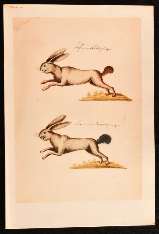 (Hendrik) Claudius - Water-Colours in the Africana Museum  1685-1686 (NUMBERED EDITION)