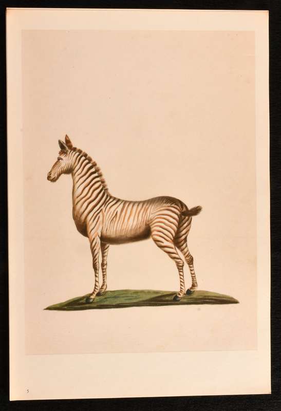 (Hendrik) Claudius - Water-Colours in the Africana Museum  1685-1686 (NUMBERED EDITION)