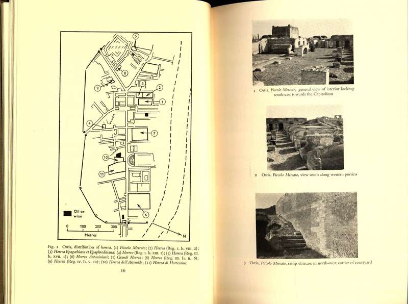 Roman Granaries and Store Buildings (Cambridge University Press)