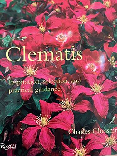 Clematis: Inspiration, Selection, and Practical Guidance