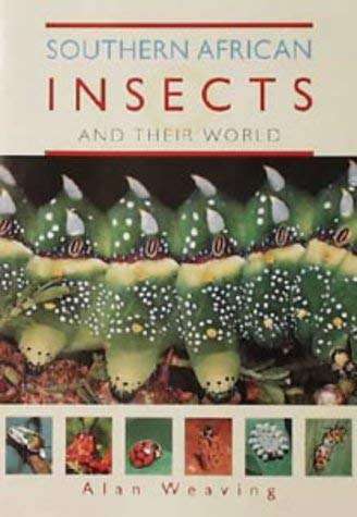 Southern African Insects and their World