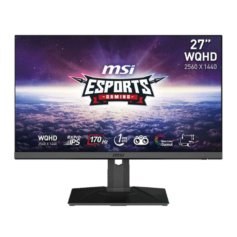 27" MSI G272QPF Gaming Monitor 2560 x 1440 (QHD) Rapid IPS 1ms 170Hz G-Sync Compatible HDR Ready ...