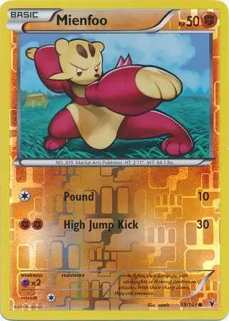 Mienfoo Reverse Holo