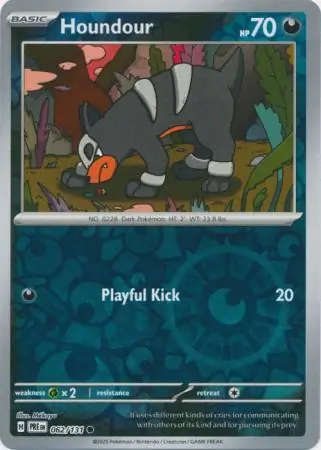 Houndour Reverse Holo