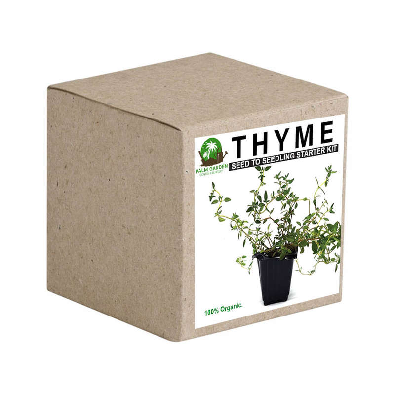 Palm Gardens Thyme Plant Seed to Thyme Seedling Home Grow Starter Kit
