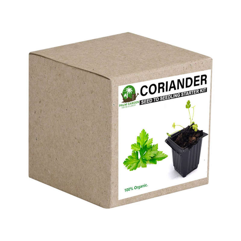 Palm Gardens Coriander Plant Seed to Dhania Seedling Home Grow Starter Kit