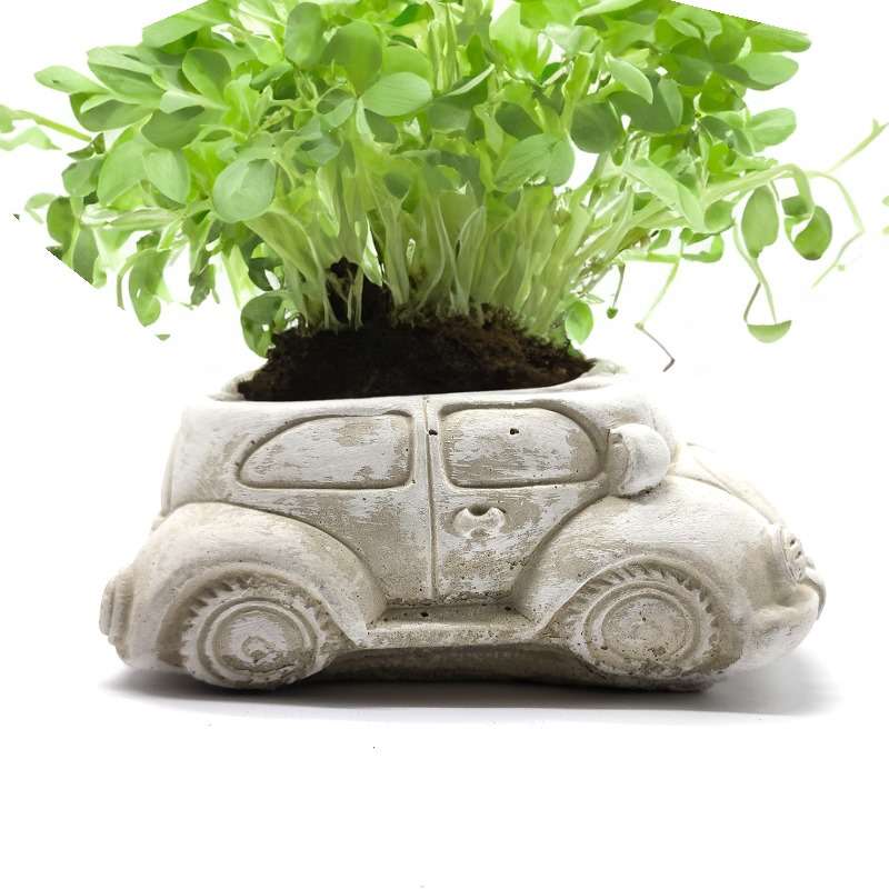Palm Gardens Beetle Bug Mini Pot Car Plant Pot