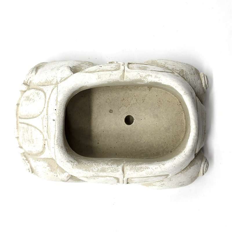 Palm Gardens Beetle Bug Mini Pot Car Plant Pot