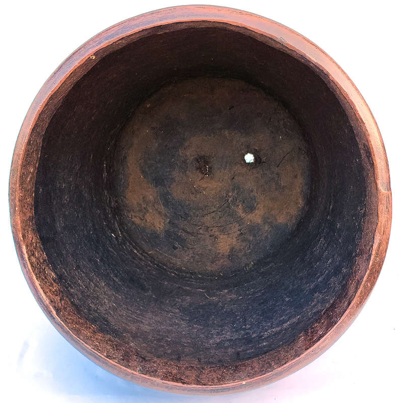 Domus Plantarum