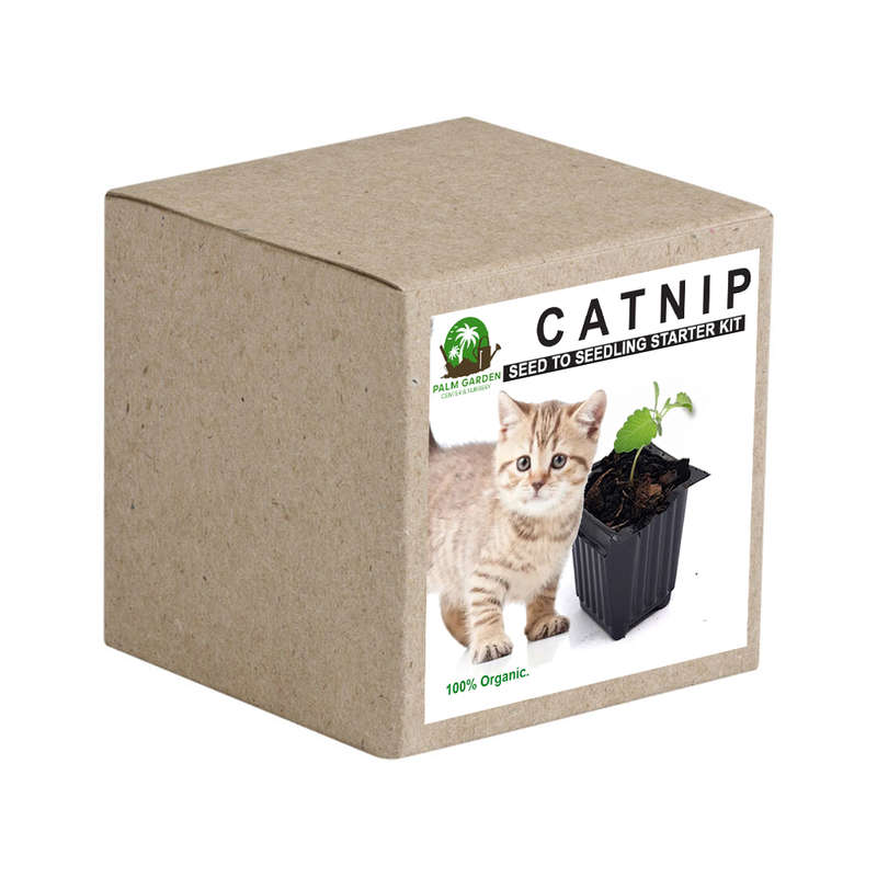 Palm Gardens Cat Nip Plant Seed To Catnip Seedling Home Grow Starter Kit