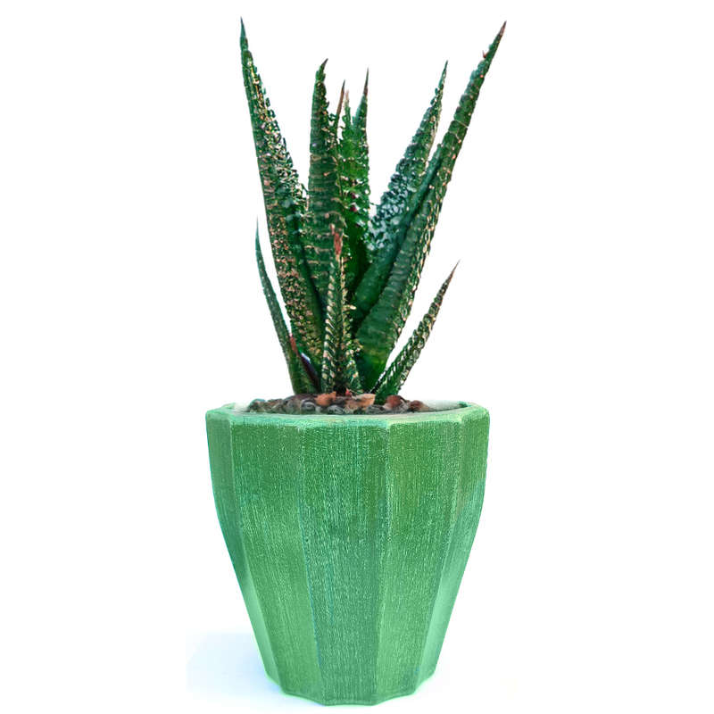 Gladius Octagon-Green