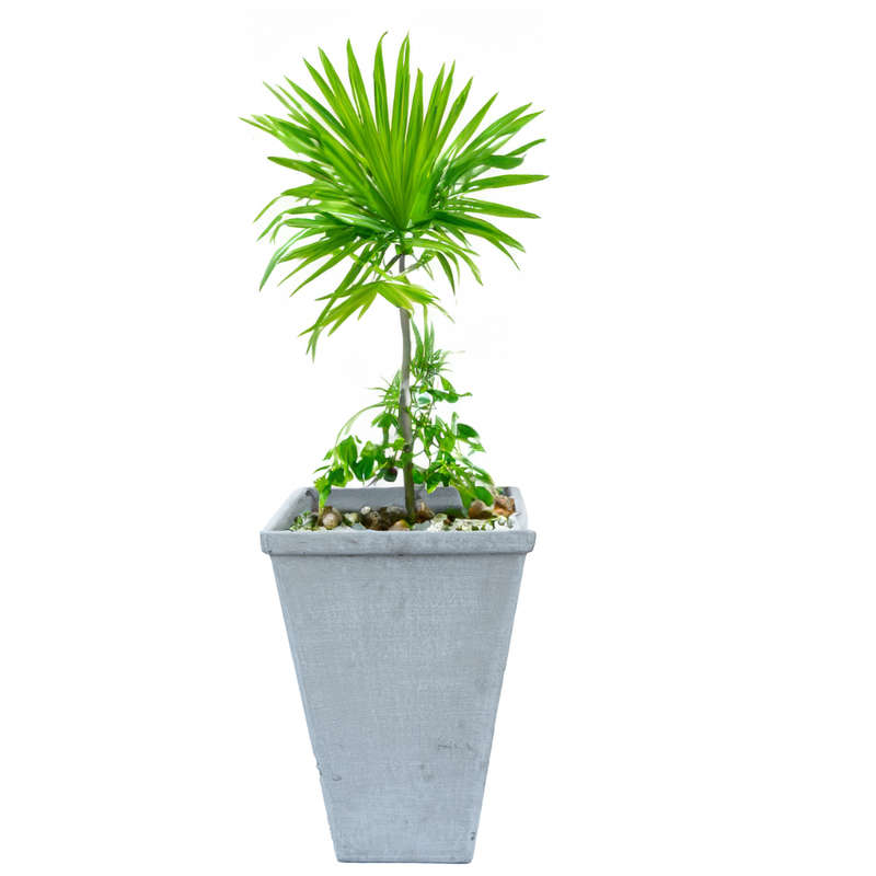 Pantheon Pot