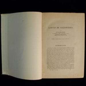 Larves de Coleopteres - M Edouard Perris
