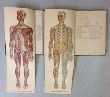 Cassell's Physical Educator. 2 Volumes - Miles, Eustace
