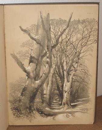 Elementary Art, or the Use of the Chalk and Lead Pencil Advocated and Explained - Harding, J.D
