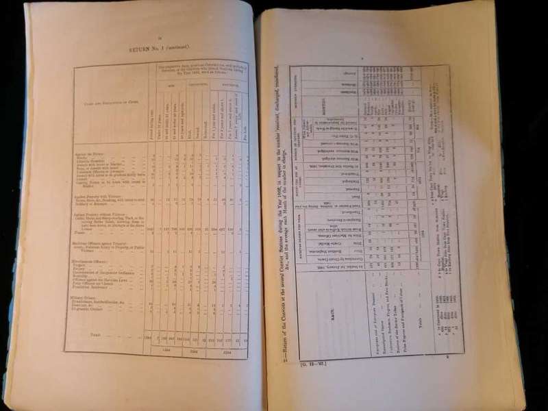 Cape of Good Hope Report of the Superintendent-General of Convicts for the year 1866 - Charles Piers