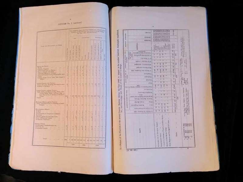 Cape of Good Hope Report of the Superintendent-General of Convicts for the year 1866 - Charles Piers