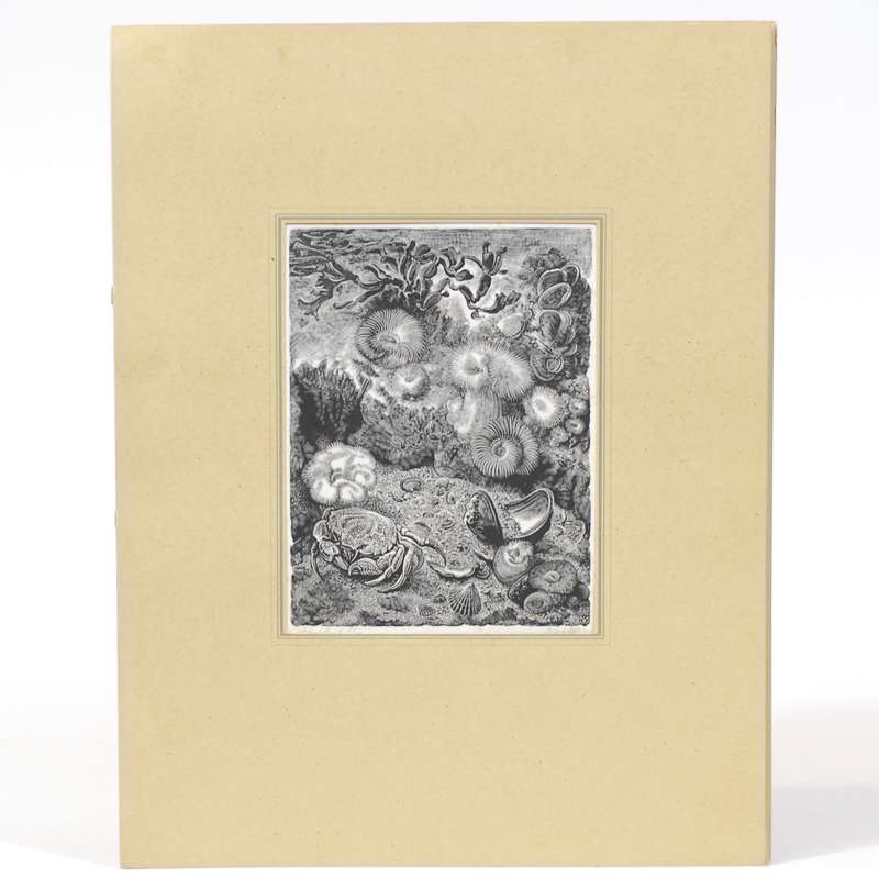 Vijf Houtgravures - Van Gelder, Dirk