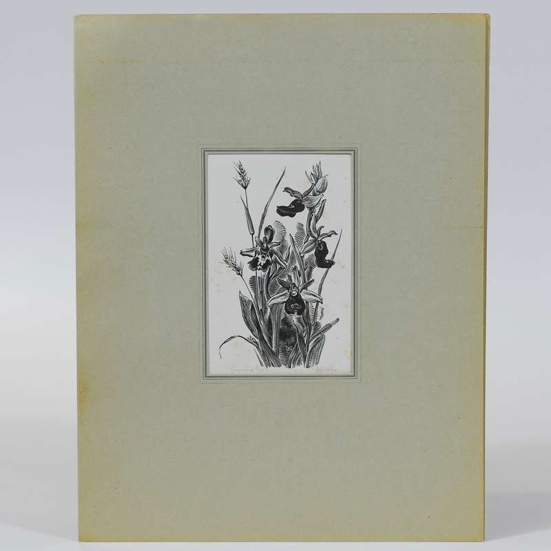 Vijf Houtgravures - Van Gelder, Dirk