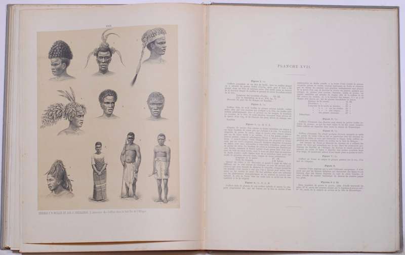 Industrie Des Cafres Du Sud-Est De L'Afrique. Collection Recueillie Sur Les Lieux et Notice Ethno...