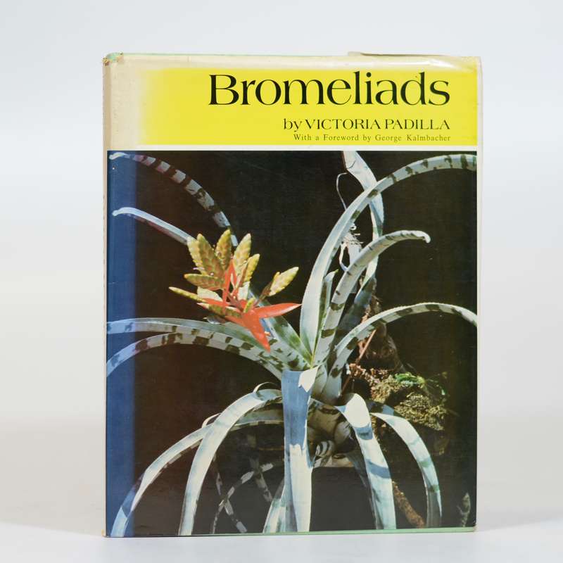 Bromeliads. - Padilla, Victoria
