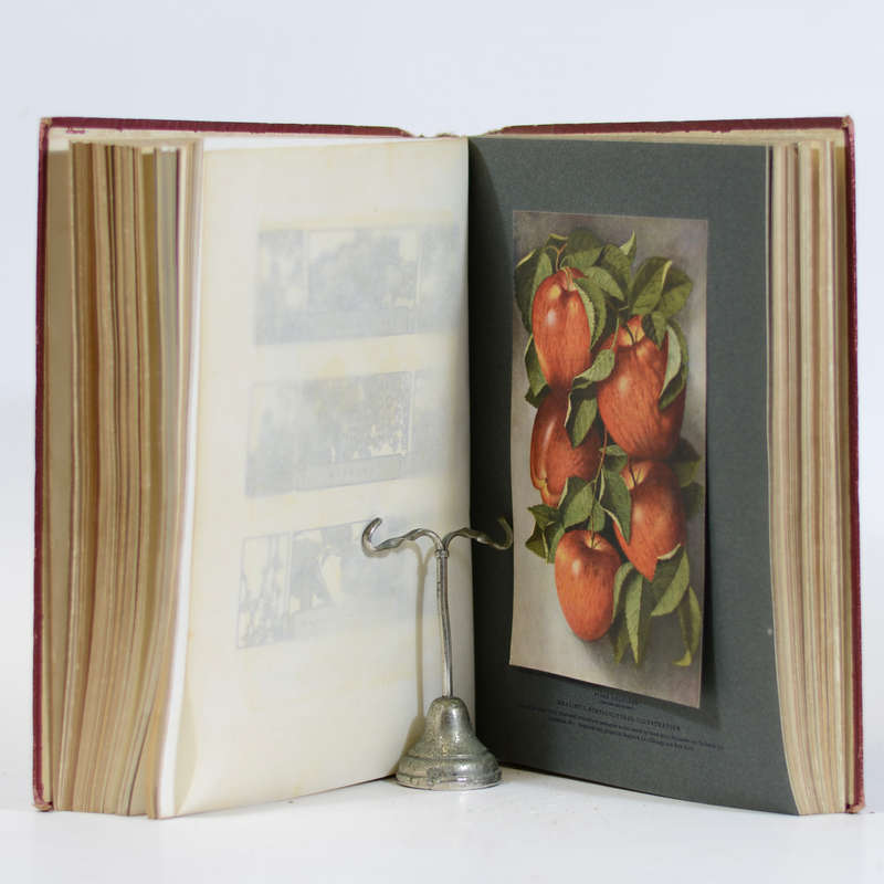 The Printing Art. An Illustrated Monthly Magazine of the Art of Printing and of the Allied Arts. ...