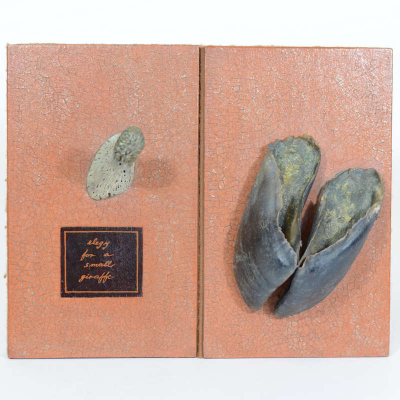 An Elegy for a Small Giraffe - An Artist's Book About a Small Giraffe - Mason, Judith