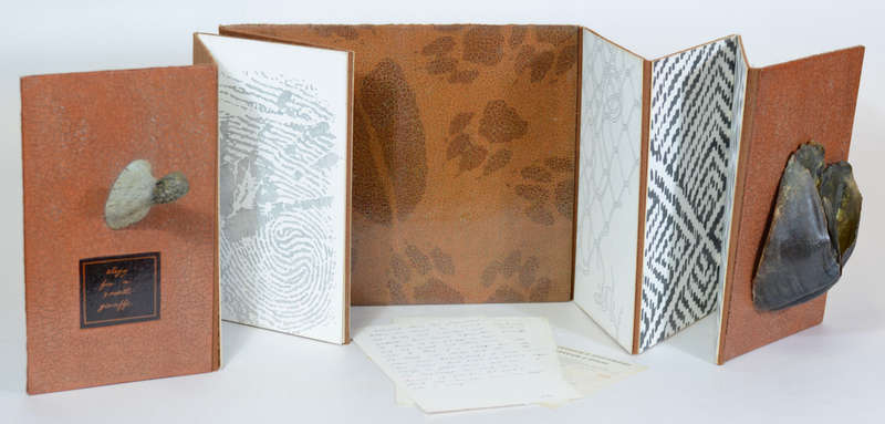 An Elegy for a Small Giraffe - An Artist's Book About a Small Giraffe - Mason, Judith
