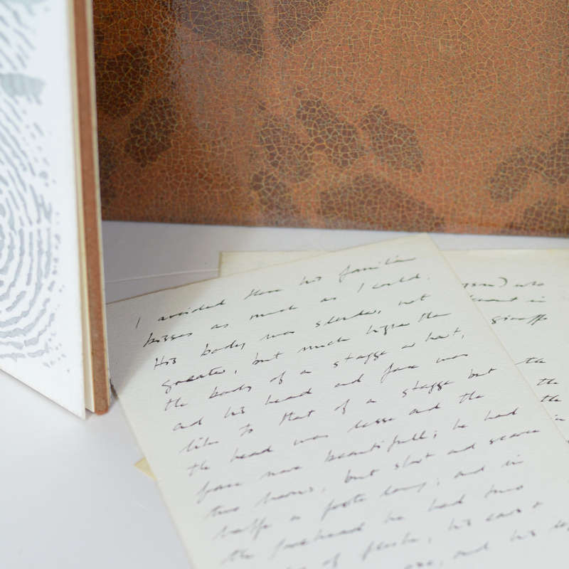 An Elegy for a Small Giraffe - An Artist's Book About a Small Giraffe - Mason, Judith