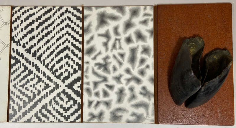 An Elegy for a Small Giraffe - An Artist's Book About a Small Giraffe - Mason, Judith