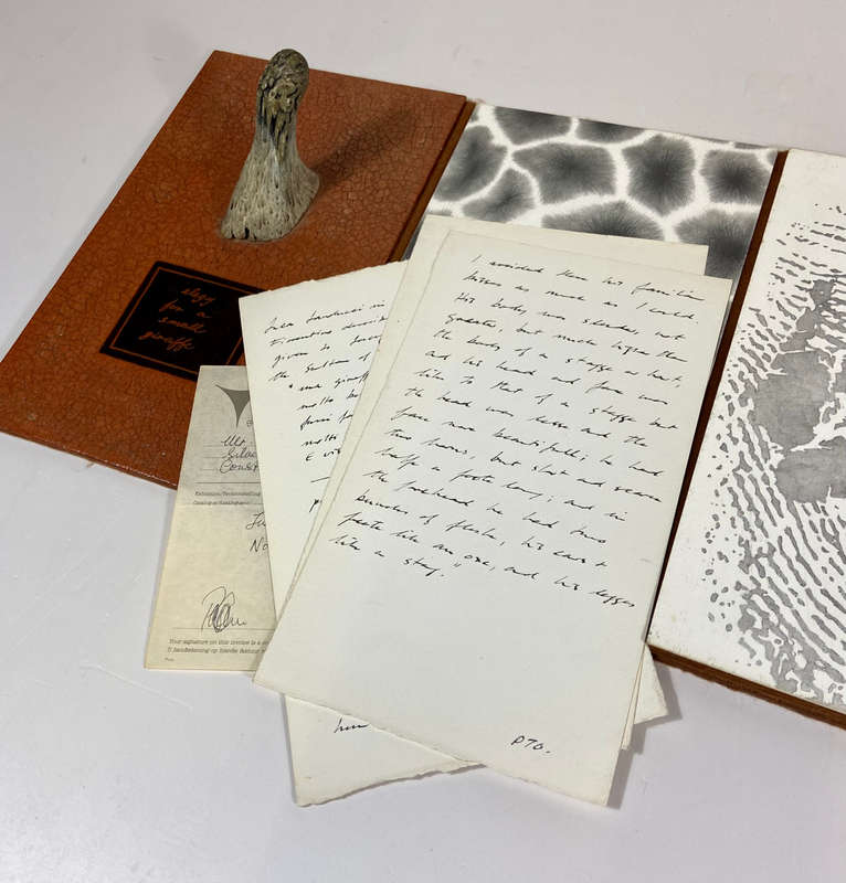 An Elegy for a Small Giraffe - An Artist's Book About a Small Giraffe - Mason, Judith