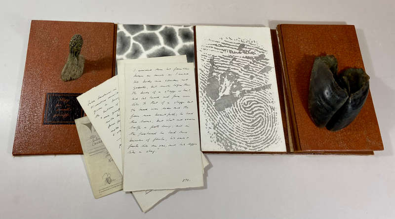 An Elegy for a Small Giraffe - An Artist's Book About a Small Giraffe - Mason, Judith