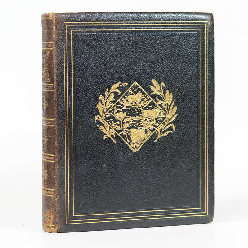 CAPE COLONY (Cape Province). Its History, Commerce, Industries, and Resources - Playne, Somerset