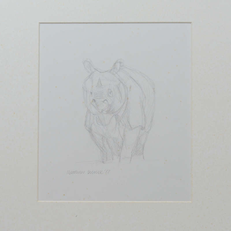 The Rhinoceros: A Monograph - Nardelli, Francisco and Hillier, Mathew