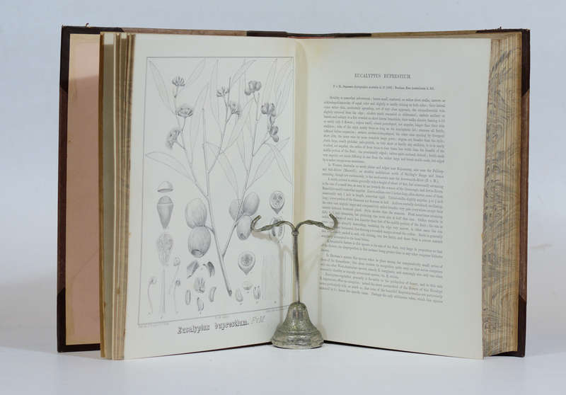 Eucalyptographia. A Descriptive Atlas of the Eucalypts of Australia and the Adjoining Islands.