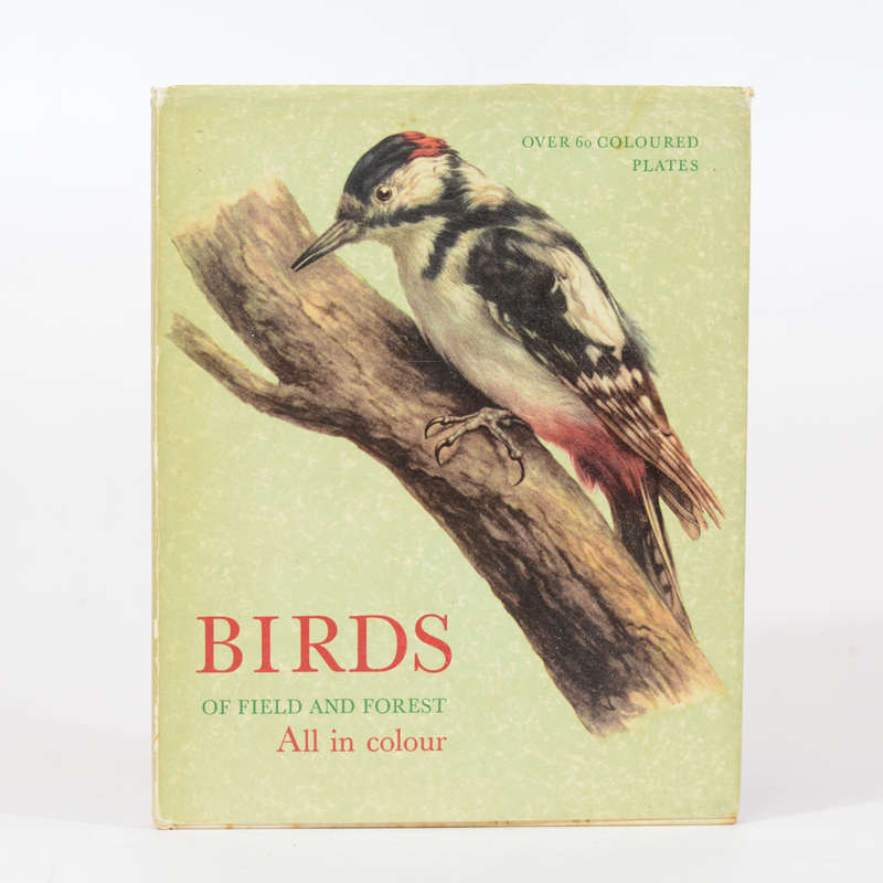 Birds of Field and Forest - Stepanek, O (Intro)