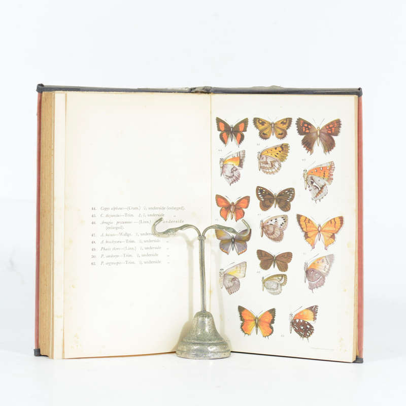 South African Butterflies. A monograph of the family Lycaenidae. - Murray, Desmond P