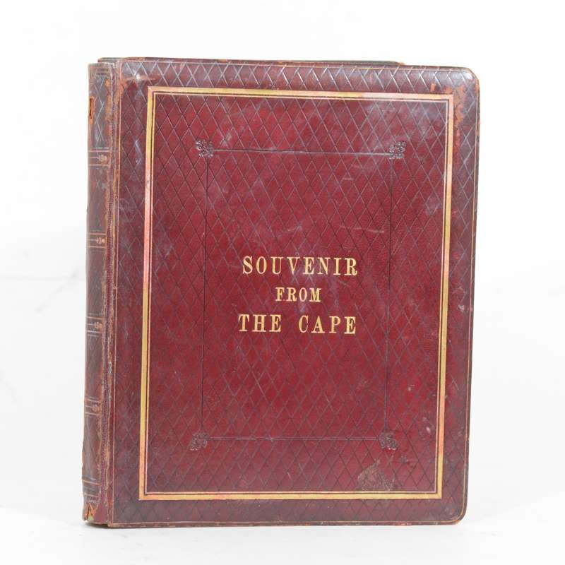 A 19th Century Album of Cape Botanical Watercolours. - Pattison, Emily Ellen (nee Dixie)