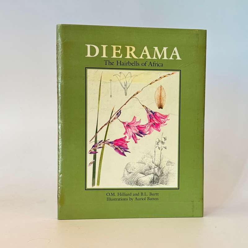 Dierama - Hilliard, O M and Burtt, B L