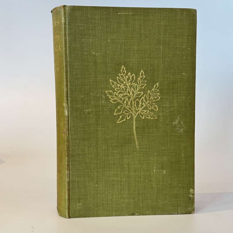 Ferns of South Africa - Sim, Thomas R